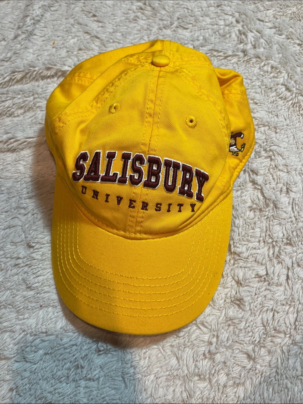 Salisbury University hat